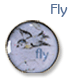 Fly